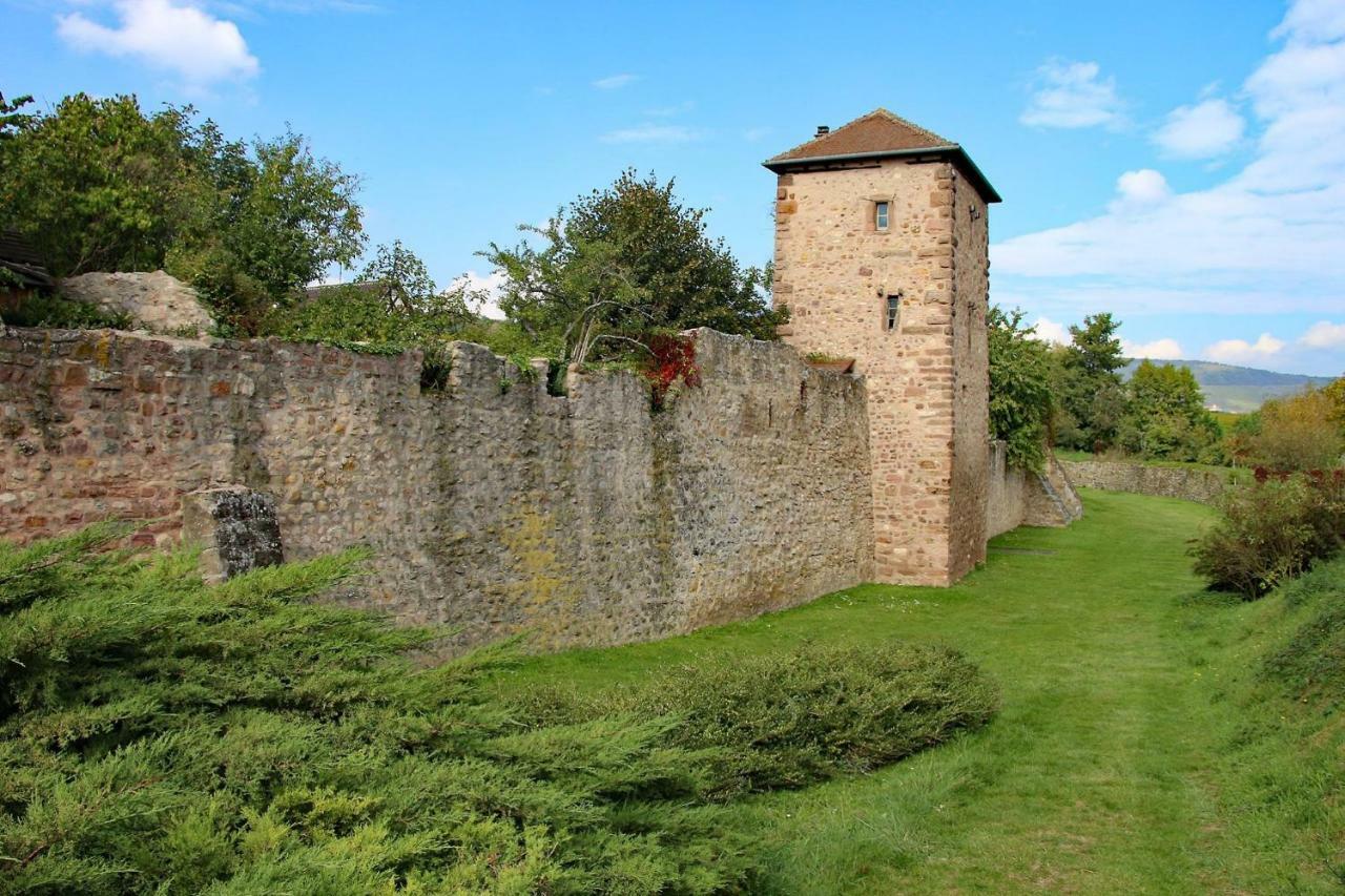 Gite La Maison Bleue Bergheim Exterior photo